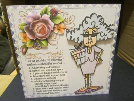8x8 Stella Has Advice for Getting Older Mini Kit by Anne-marie Wheeler