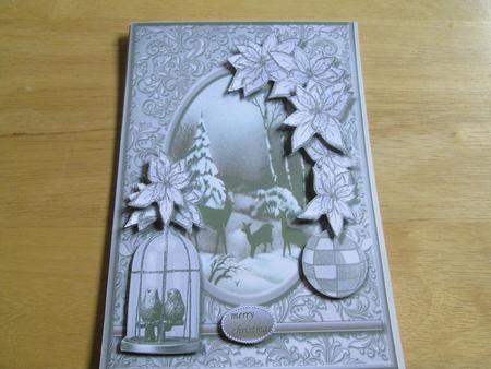 Silver Christmas by Anne-marie Wheeler