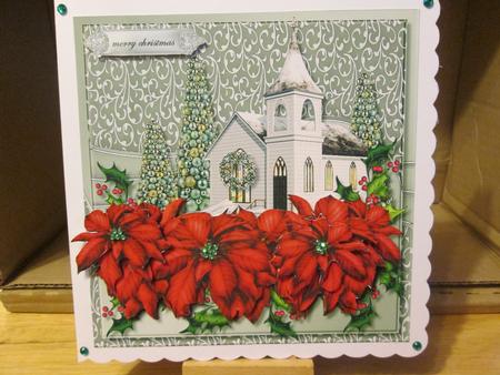 Beautiful Poinsettias 2 by Anne-marie Wheeler
