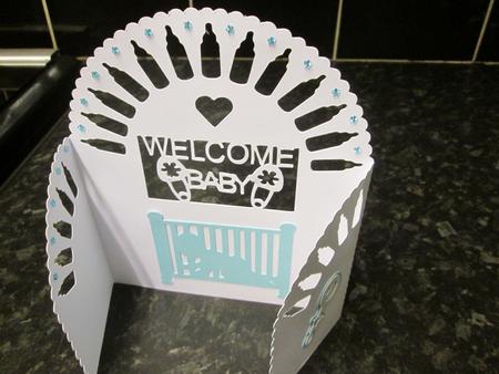 584 Baby Gatefold by Anne-marie Wheeler
