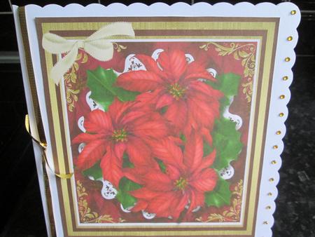 Stunning Poinsettias in a Gold Frame  by Anne-marie Wheeler