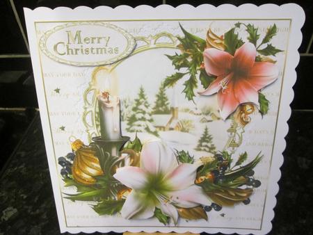 8x8 Festive Amaryllis Candle Cluster Mini Kit by Anne-marie Wheeler