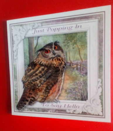 Beautiful Owl 4 by Anne McIntyre