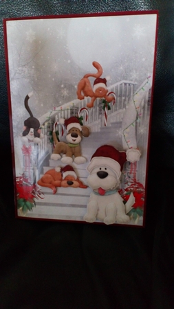 Dogs and Cats Friends for Christmas by Anne McIntyre