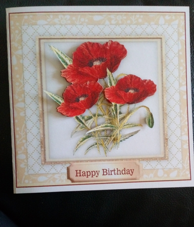 Beautiful Red Poppies in a gold frame  by Anne McIntyre