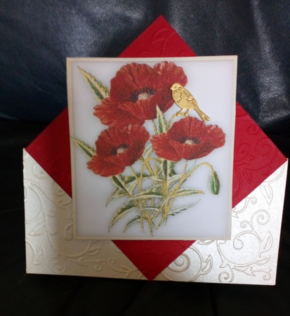 Beautiful Red Poppies in a gold frame  by Anne McIntyre