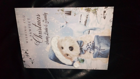 Pawfect Christmas A5 Quick Card by Anne McIntyre