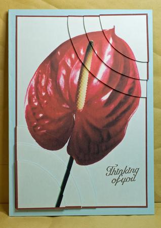 Stunning Floral 2 Corner Stacker by Anne Perks
