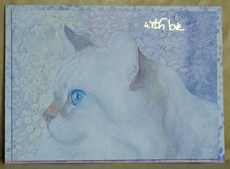 A4 Soft and Subtle, Cat and Lace by Anne Perks