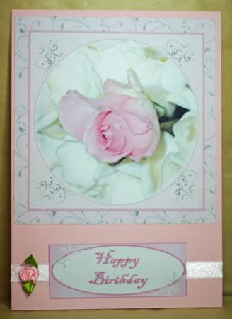 Pink and White Roses by Anne Perks