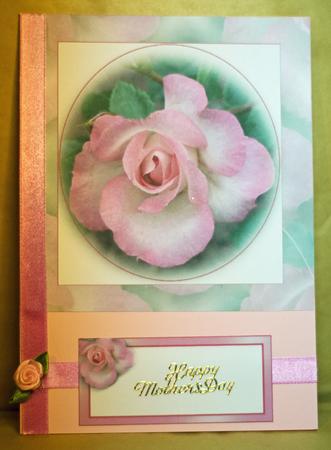 Beautiful Pink Rose by Anne Perks