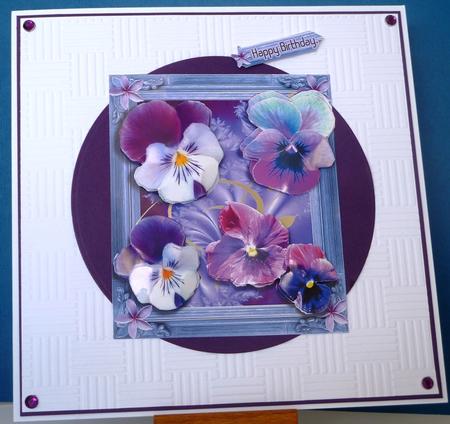 Over the Edge Pansy by Anne Ray