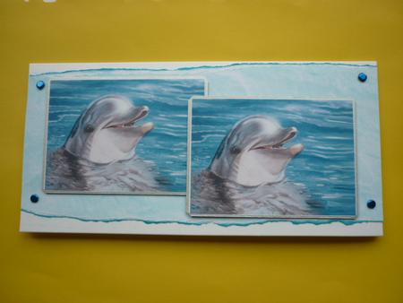 Bottlenosed Smiling Dolphin. by Annette Purkis