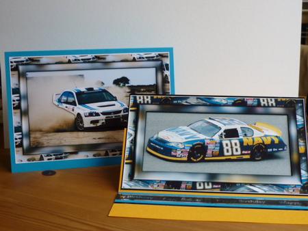Racing Cars by Annette Purkis