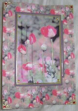 The Last of the Poppies by Annmarie Spriggs