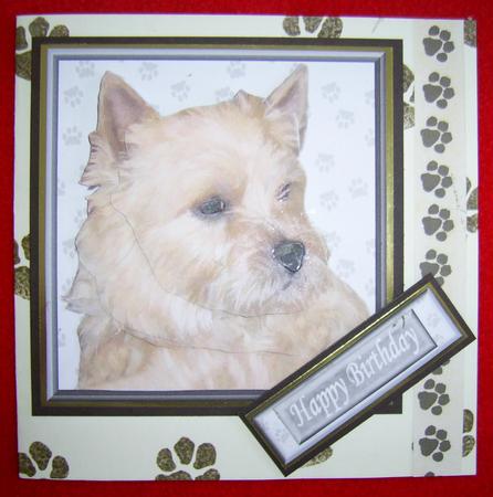 Norwich Terrier Portrait 3D Decoupage by Annmarie Spriggs