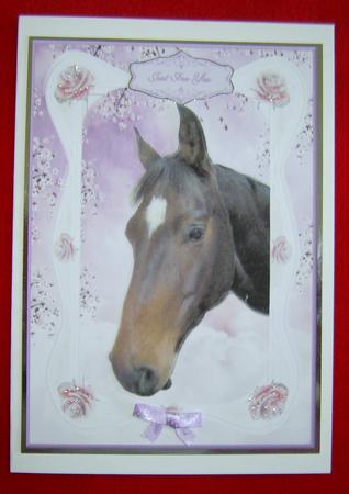 Florals & Horse by Annmarie Spriggs