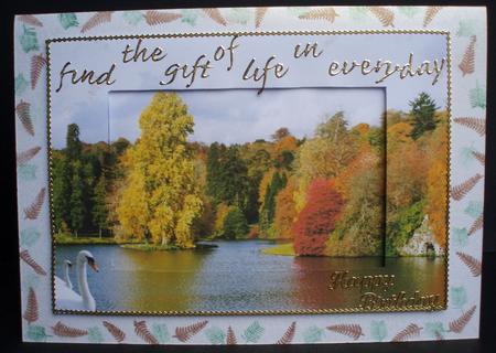 Autumn Fall Glory at Stourhead Gardens Wiltshire England by Audrey Brown clifford