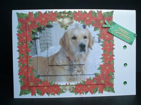 Poinsettia Dog in the Snow by Audrey Brown clifford