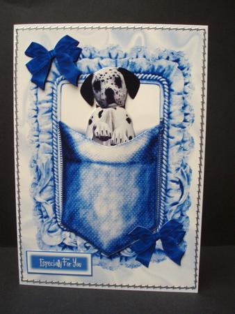 Dalmation Puppy in a Pocket by Audrey Brown clifford