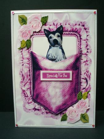 Husky Puppy in a Pocket by Audrey Brown clifford