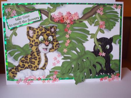 I Spy Jungle Cats Quick Card Front by Audrey Brown clifford