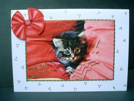 Cute Kitten, Star Pyramids by Audrey Brown clifford