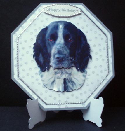 Black & White Cocker Spaniel Plate Shaped Card & Stand by Audrey Brown clifford