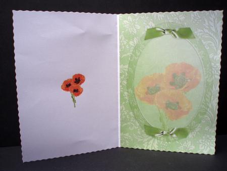Poppy Trio Insert Plain by Audrey Brown clifford