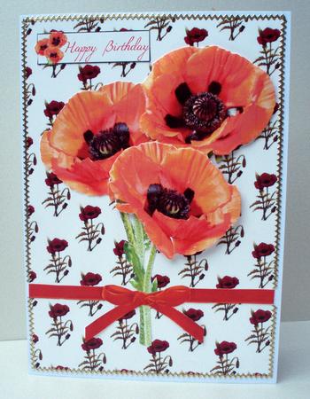 Poppy Trio 'just the Flowers' Step by Step by Audrey Brown clifford