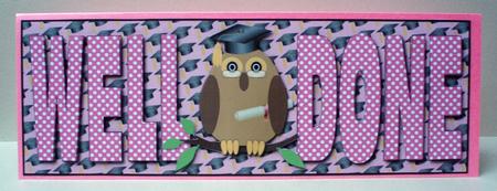Graduation Owl Large Dl (pink) by Audrey Brown clifford