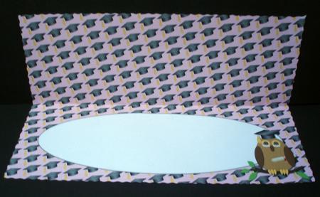 Graduation Owl Insert for Large Dl (pink) by Audrey Brown clifford