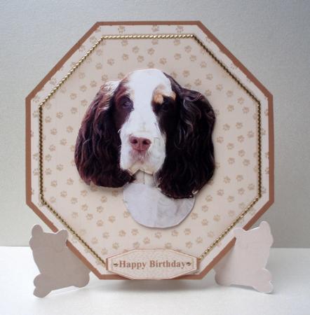 Springer Spaniel Plate Shaped Card & Stand by Audrey Brown clifford