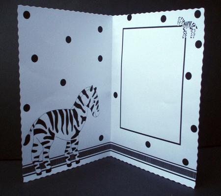 Zebra A5 Portrait Landscape Insert by Audrey Brown clifford