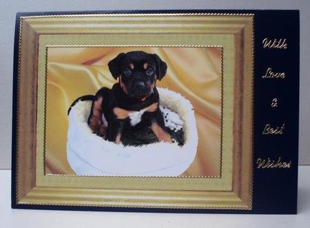 Zeus the Rotti Puppy Dog - Quick Cut & Fold Photo Card by Audrey Brown clifford
