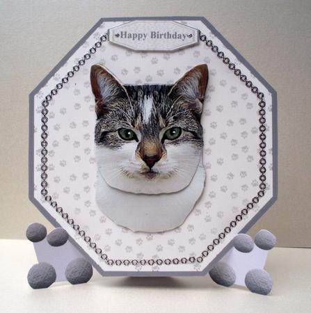 Cat Shorthaired Plate Shaped Card with Stand by Audrey Brown clifford
