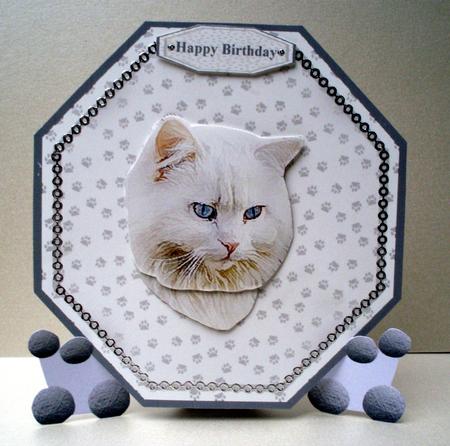 Persian Cat Plate Shaped Card & Stand by Audrey Brown clifford