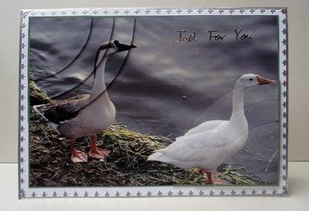Wild Geese by the Waters Edge 2 Corner Stacker by Audrey Brown clifford