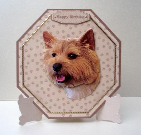 Norwich Terrier 2 Plate Shaped Card & Stand by Audrey Brown clifford