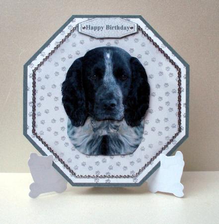 Cocker Spaniel Plate Shaped Card & Stand by Audrey Brown clifford
