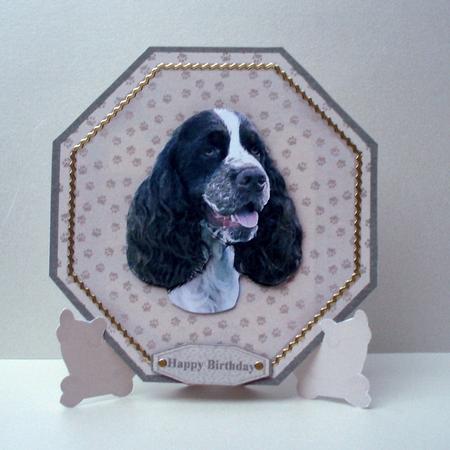 Springer Spaniel Plate Shaped Card & Stand by Audrey Brown clifford