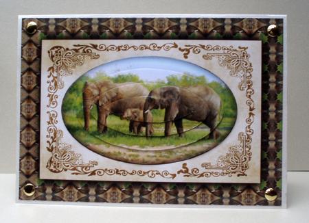 Elephants Quick Card by Audrey Brown clifford