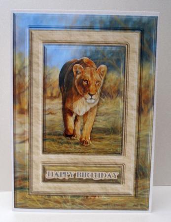 Lioness 2 Quick Card by Audrey Brown clifford