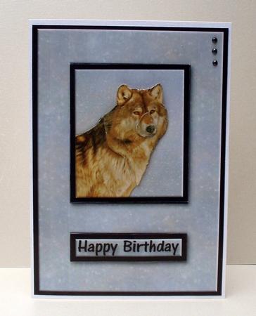 Wolf Quick Card by Audrey Brown clifford