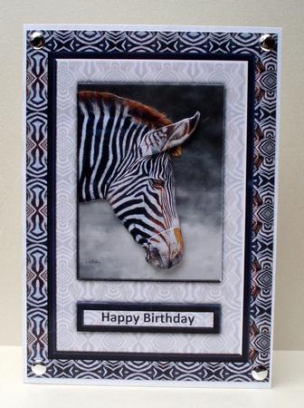 Zebra Quick Card by Audrey Brown clifford