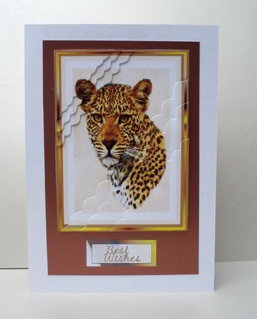 Big Cat 2 by Audrey Brown clifford