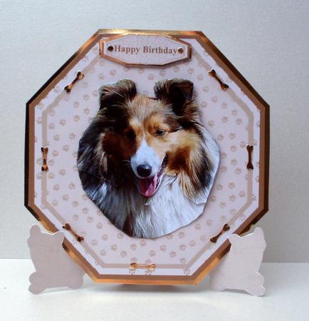 Sheltie Plate Shaped Card & Stand by Audrey Brown clifford