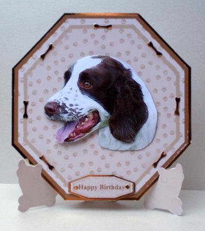 Springer Spaniel Plate Shaped Card & Stand by Audrey Brown clifford