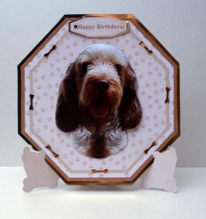 Italian Spinone Plate Shaped Card & Stand by Audrey Brown clifford