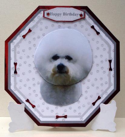 Bichon Frise Plate Shaped Card & Stand by Audrey Brown clifford